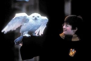 Daniel Radcliffe In Una Scena Di Harry Potter E La Pietra Filosofale 5677