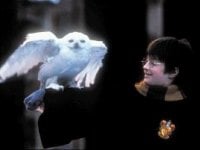 Harry Potter, serie tv in arrivo? Risponde la Warner: 'Il pubblico è pronto, ma dobbiamo pianificare'