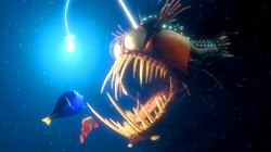 Una Scena Di Alla Ricerca Di Nemo 5669