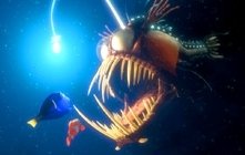 Una scena di Alla ricerca di Nemo (Finding Nemo)