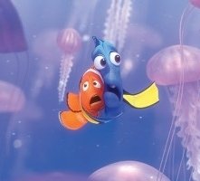 Una Scena Di Alla Ricerca Di Nemo 5670