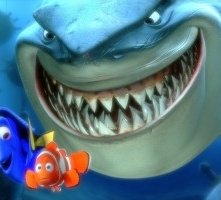 Una Scena Di Alla Ricerca Di Nemo 5673