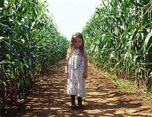 Abigail Breslin in una scena di Signs