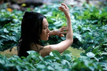 Una splendida Zhang Ziyi in una scena del film La foresta dei pugnali volanti