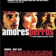 La locandina di Amores perros