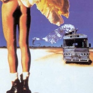 La locandina di Priscilla, la regina del deserto