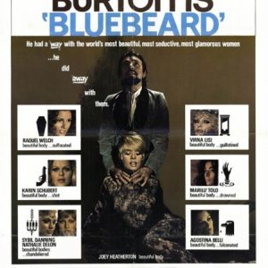 La locandina di Barbablù