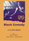 La locandina di Black Comedy
