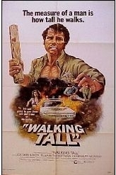 La locandina di Un duro per la legge