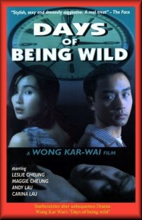 La locandina di Days of being wild