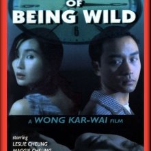 La locandina di Days of being wild