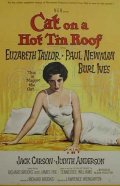 La locandina di La gatta sul tetto che scotta