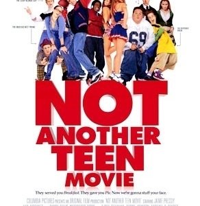 La locandina di Non è un'altra stupida commedia americana