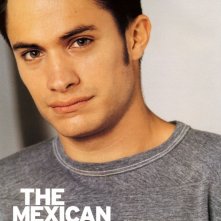 Gael Garcia Bernal 11509