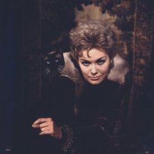Gara di sguardi tra Kim Novak e il suo gatto Cagliostro in una foto promozionale per Una strega in paradiso