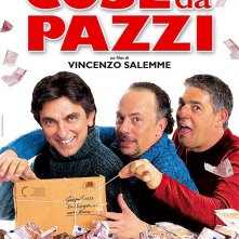 La locandina di Cose da pazzi