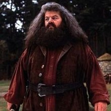 Robbie Coltrane è Rubeus Hagrid