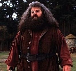 Robbie Coltrane è Rubeus Hagrid