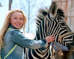 Hayden Panettiere in una scena di Striscia, una zebra alla riscossa