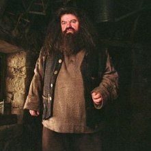 Robbie Coltrane è Rubeus Hagrid