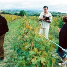 Una scena di Mondovino