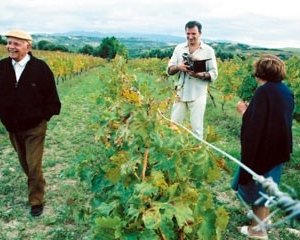 Una scena di Mondovino