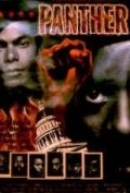 La locandina di Panther