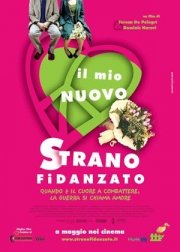 La locandina di Il mio nuovo strano fidanzato