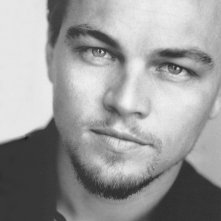 Leonardo Dicaprio 13844