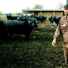 Ivan Franek in una scena di Sulla mia pelle