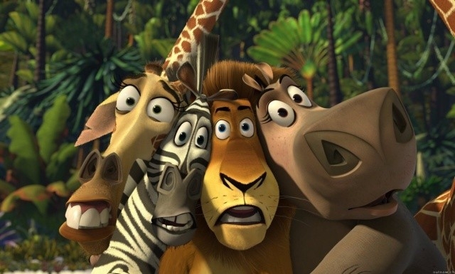 Una scena del cartoon Madagascar