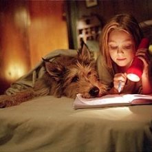 AnnaSophia Robb in una scena de Il mio amico a quattro zampe