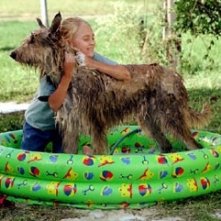 AnnaSophia Robb in una scena de Il mio amico a quattro zampe