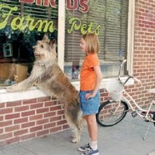 AnnaSophia Robb in una scena de Il mio amico a quattro zampe