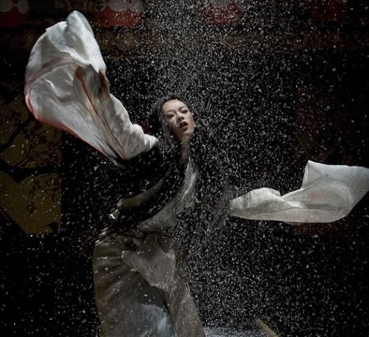Zhang Ziyi In Una Scena Di Memorie Di Una Geisha 15250