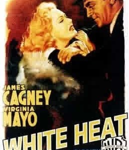 La locandina di La furia umana