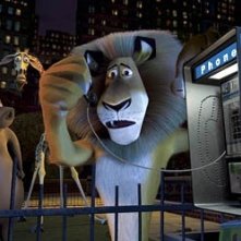 Una scena di Madagascar con il leone protagonista del film