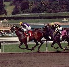 Una scena di One last ride - L'ultima corsa