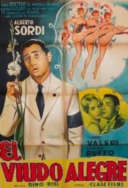 La locandina di Il vedovo