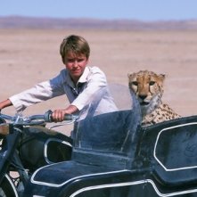 Alex Michaeletos in una scena di Duma