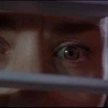 Lo sguardo terrorizzato di Jessica Lange (Leigh Bowden) in CAPE FEAR - IL PROMONTORIO DELLA PAURA