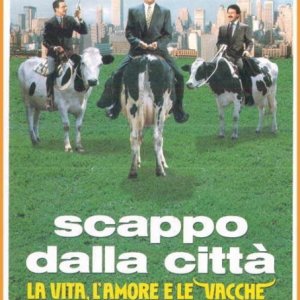 La locandina di Scappo dalla città - la vita, l'amore e le vacche
