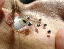 Una scena di The Island