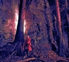 Una scena de I fratelli Grimm