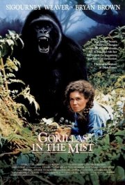 La locandina di Gorilla nella nebbia