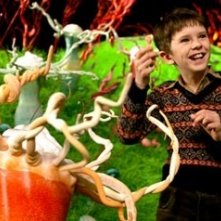 Freddie Highmore in una scena de La fabbrica di cioccolato
