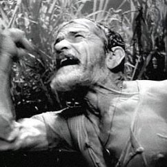 Foto di scena