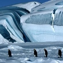 Una scena del documentario La marcia dei pinguini