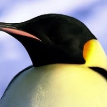 La marcia dei pinguini (2005)