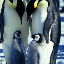 Una famiglia tra i ghiacci nel documentario La marcia dei pinguini